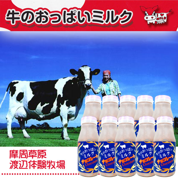 牛のおっぱいミルク チョコレート10本セット
