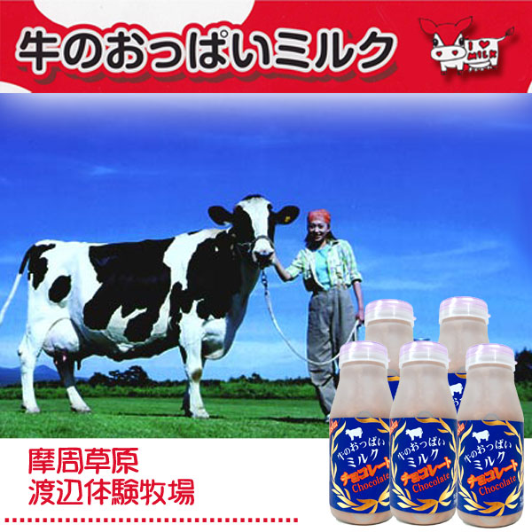 牛のおっぱいミルク チョコレート5本セット
