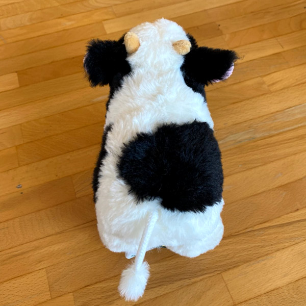 も と鳴くウシさん 渡辺体験牧場 も と鳴くウシさん 渡辺体験牧場